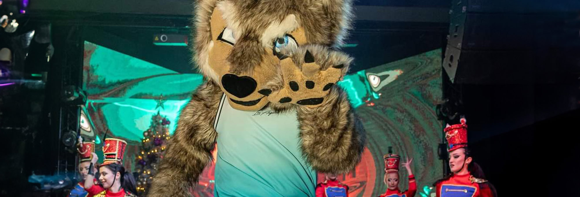 Mascot Costumes